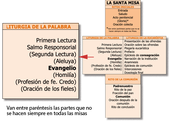 liturgia de la palabra